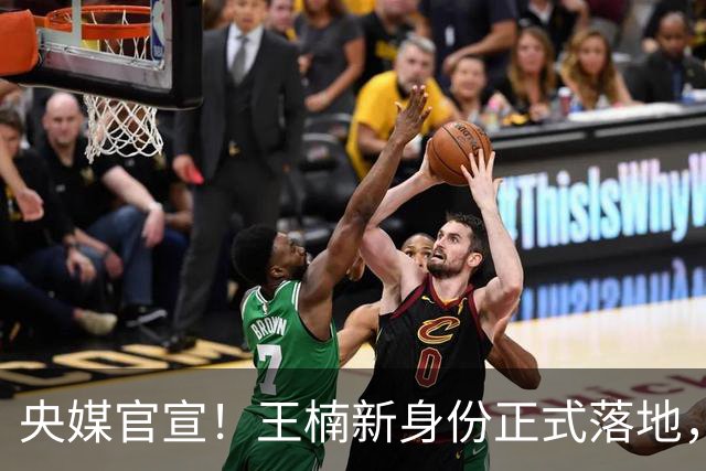 央媒官宣！王楠新身份正式落地，资产查封、被调查传闻，早有真相